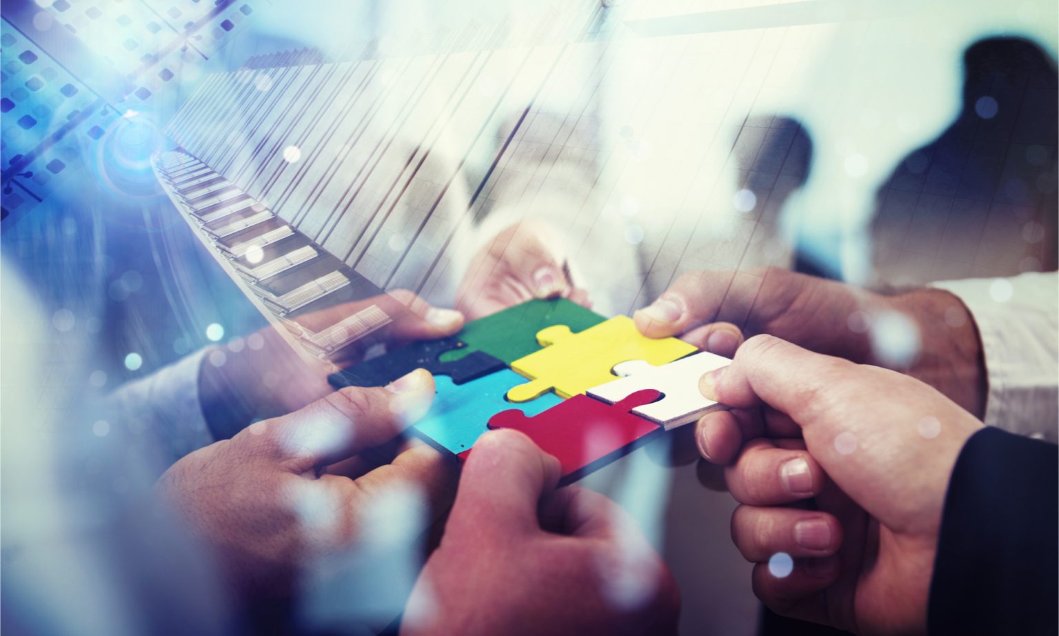 shutterstock_1202301274